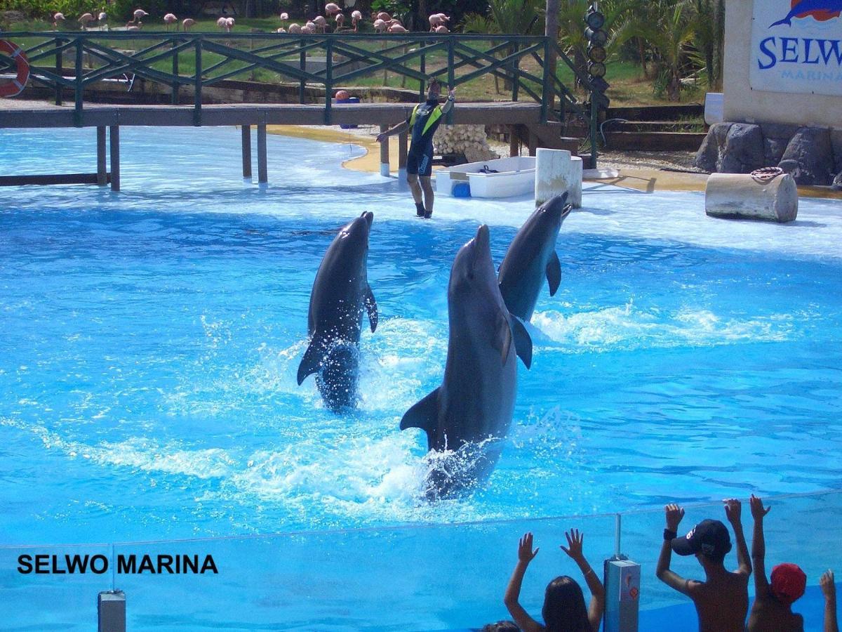 Estudio Jupiter Benalmadena Cerca Playa Daire Dış mekan fotoğraf