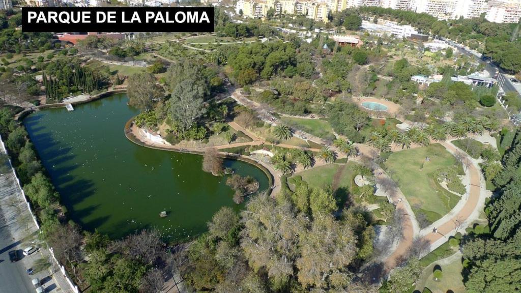 Estudio Jupiter Benalmadena Cerca Playa Daire Dış mekan fotoğraf